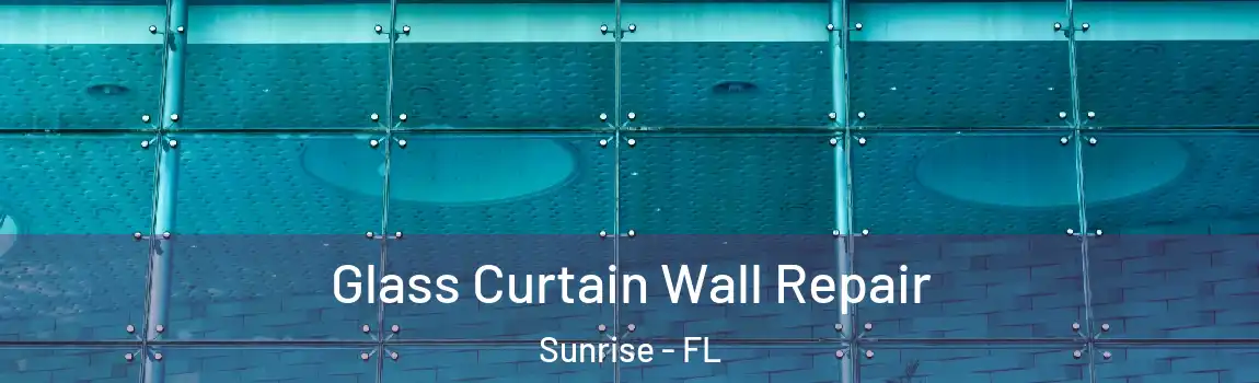  Glass Curtain Wall Repair Sunrise - FL