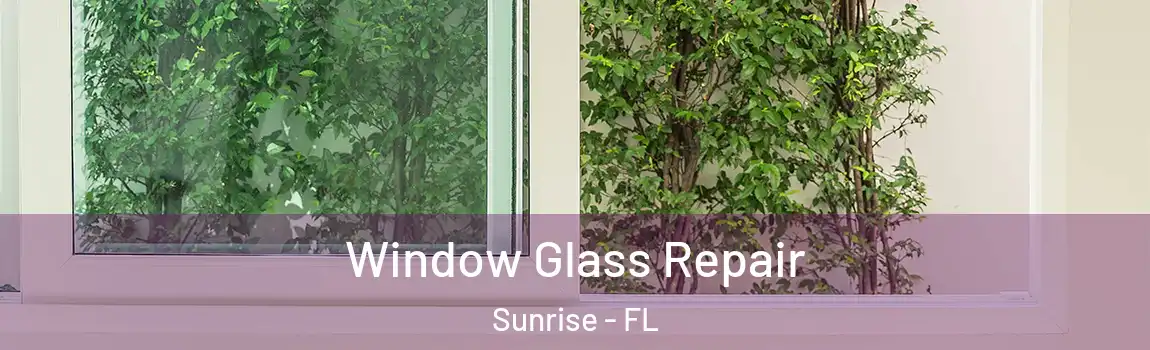  Window Glass Repair Sunrise - FL