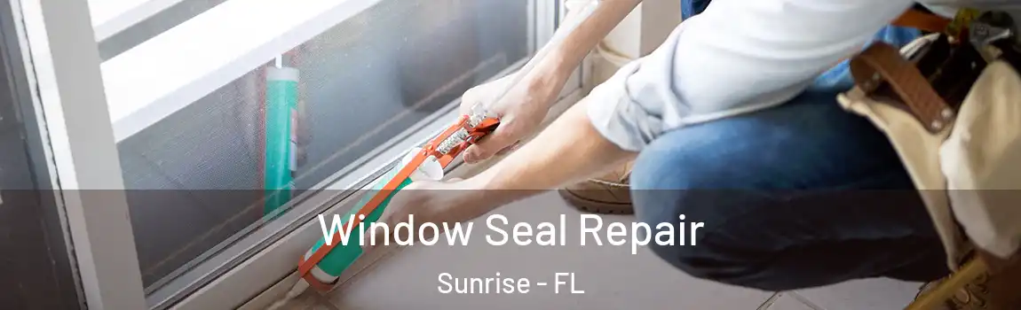  Window Seal Repair Sunrise - FL